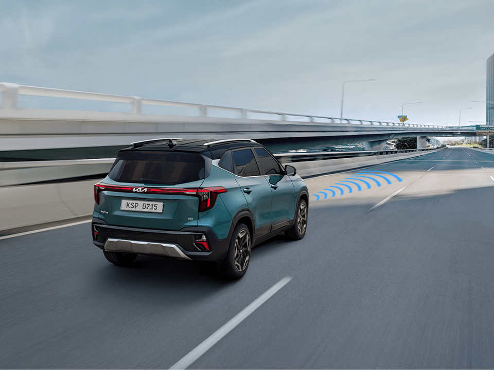 Monitor de visión trasera (RVM)